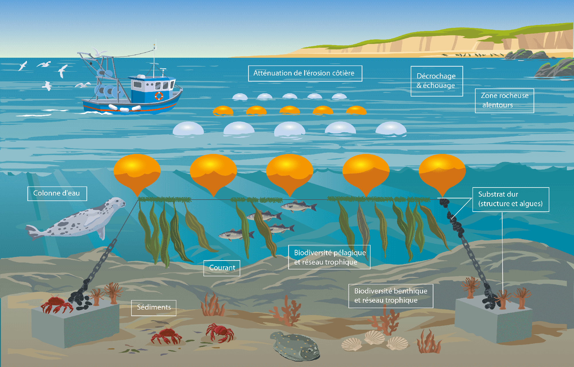 L'engagement durable