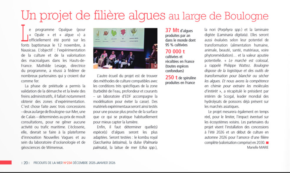 Janv 2026 PDM Opalgue