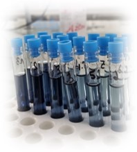 ALGABIOST - Macro-algues sources de biostimulants