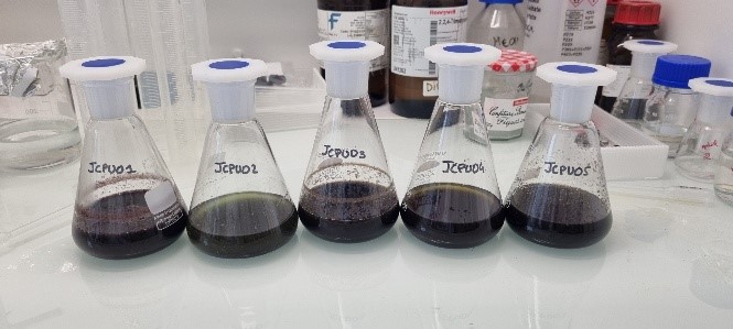 MALGABIO - Extraction de compos&eacute;s bioactifs issus de macro-algues